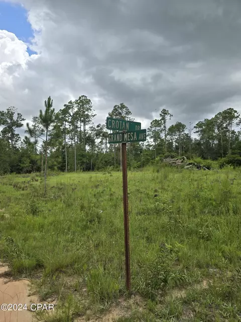 000 Crotan Dr, Alford, FL 32420
