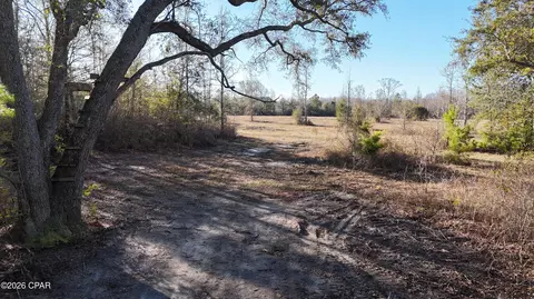 3120 Mount Olive Rd, Bonifay, FL 32425