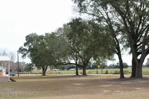 5008 3rd Ave, Malone, FL 32445 photo 54