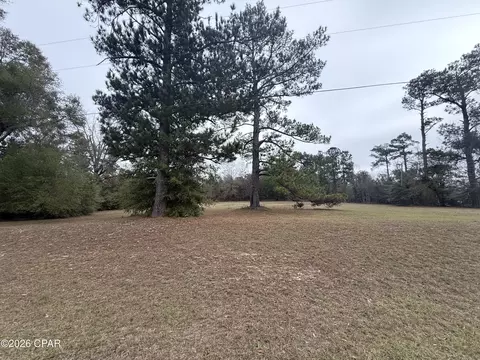 2054 Dairy Rd, Sneads, FL 32460