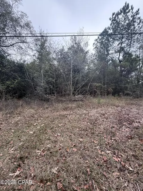 0 Dairy Rd, Sneads, FL 32460