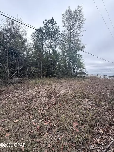 0 Dairy Rd, Sneads, FL 32460 photo 2