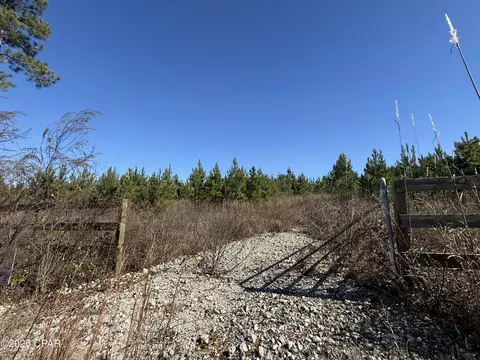 00 Tanner Rd, Marianna, FL 32448