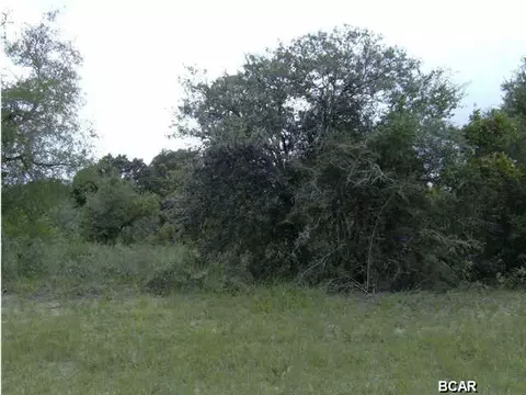 lot6 Hale Ave, Chipley, FL 32428 photo 4