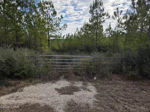 Nnn NW Church Road, Altha, FL 32421