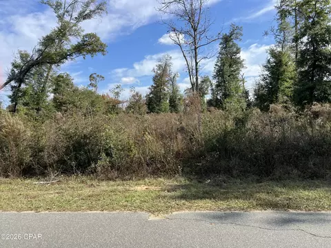 00 Magnolia Blossom Ln, Marianna, FL 32446