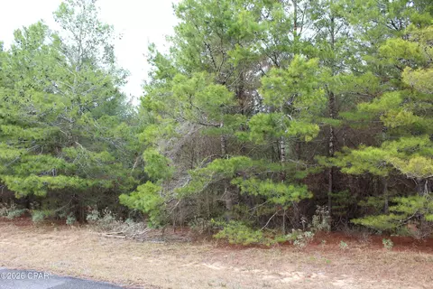 lot1 Cloverleaf Ct, Chipley, FL 32428 photo 4