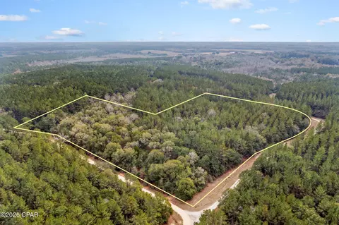Nnn Sumac Road, Westville, FL 32464