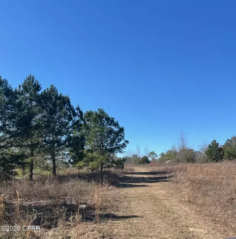 2889 Salem Church Rd, Sneads, FL 32460