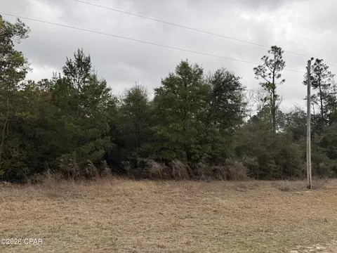 000 Russell Ave, Alford, FL 32420
