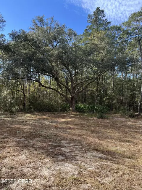 00 Orchid Ln, Freeport, FL 32439