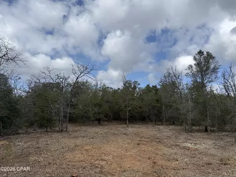 000 Birwood Ct, Chipley, FL 32428
