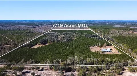 1112 Max Herrin Rd, Chattahoochee, FL 32324