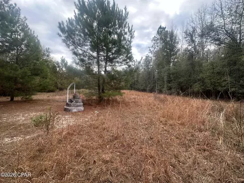 7930 Broken Oak Dr, Sneads, FL 32460 photo 15