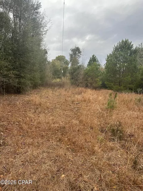 7930 Broken Oak Dr, Sneads, FL 32460 photo 24