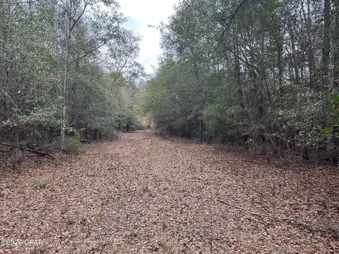 7930 Broken Oak Dr, Sneads, FL 32460 photo 10