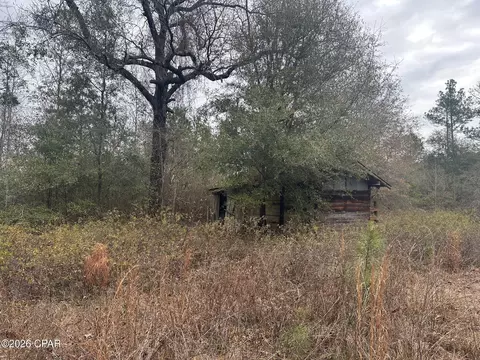 7930 Broken Oak Dr, Sneads, FL 32460 photo 30