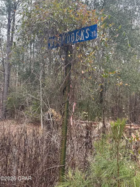 7930 Broken Oak Dr, Sneads, FL 32460 photo 35