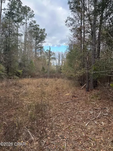 7930 Broken Oak Dr, Sneads, FL 32460 photo 7