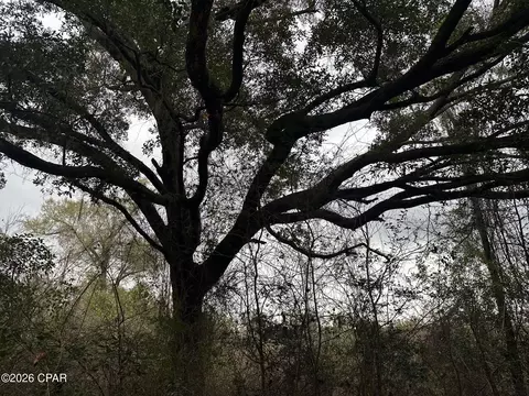 7930 Broken Oak Dr, Sneads, FL 32460 photo 5