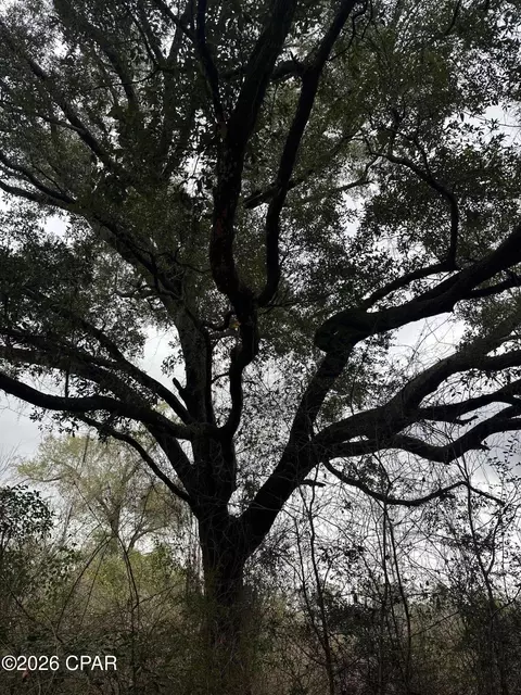 7930 Broken Oak Dr, Sneads, FL 32460 photo 36