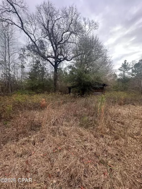 7930 Broken Oak Dr, Sneads, FL 32460 photo 31