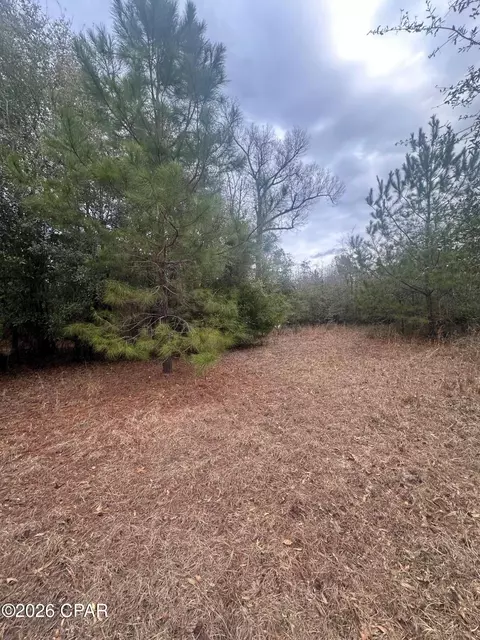7930 Broken Oak Dr, Sneads, FL 32460 photo 19