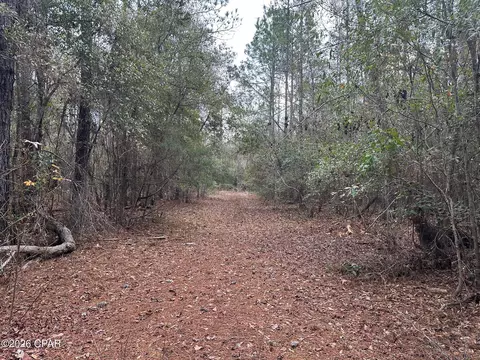 7930 Broken Oak Dr, Sneads, FL 32460 photo 9