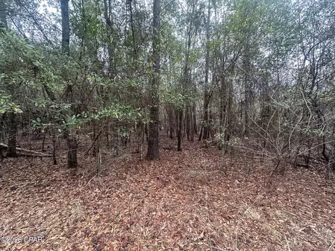 7930 Broken Oak Dr, Sneads, FL 32460 photo 13