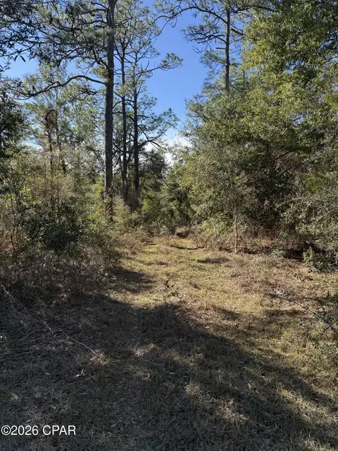 lot21 Grassy Pond Rd, Chipley, FL 32428