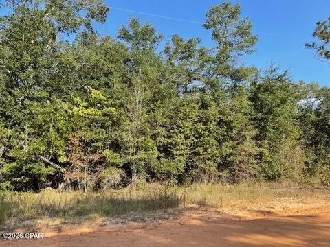 0 Koskiusko Dr, Alford, FL 32420