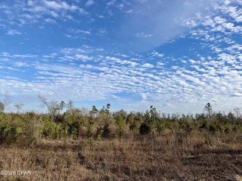 25 Acres Davenport Rd, Marianna, FL 32448