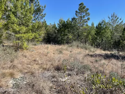 00000 Velvet Dr, Chipley, FL 32428