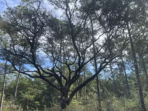 0000 Lavon Rd, Milton, FL 32583 photo 9