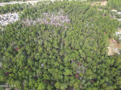 0000 Lavon Rd, Milton, FL 32583 photo 3