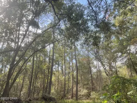 0000 Lavon Rd, Milton, FL 32583 photo 7