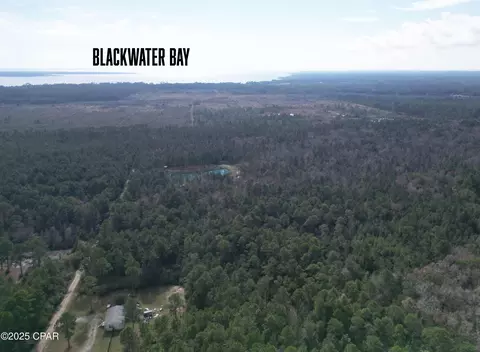 0000 Lavon Rd, Milton, FL 32583 photo 6