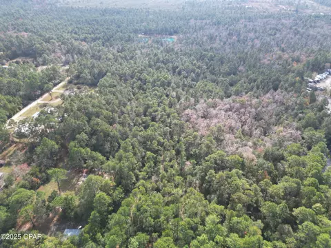 0000 Lavon Rd, Milton, FL 32583 photo 5