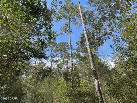 0000 Lavon Rd, Milton, FL 32583 photo 2