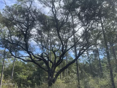 0000 Lavon Rd, Milton, FL 32583 photo 9