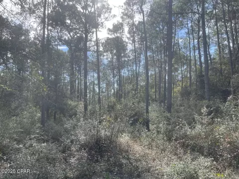 0000 Lavon Rd, Milton, FL 32583 photo 10