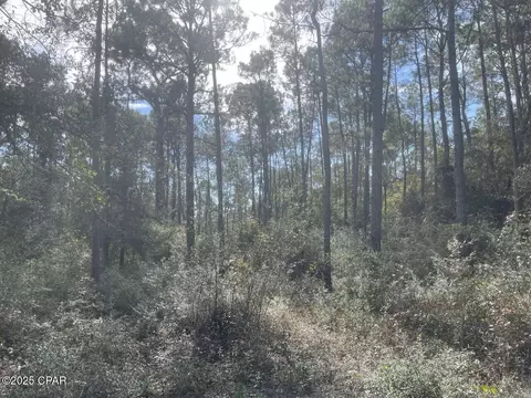 0000 Lavon Rd, Milton, FL 32583 photo 10