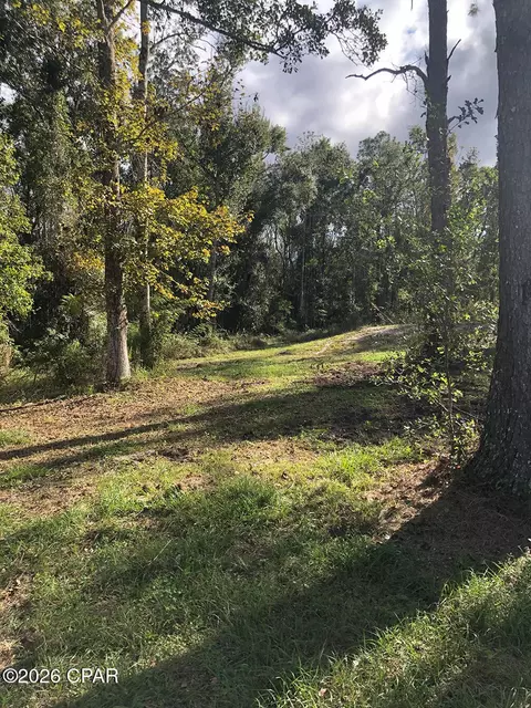 7322 E Max Fleming Rd, Wewahitchka, FL 32465