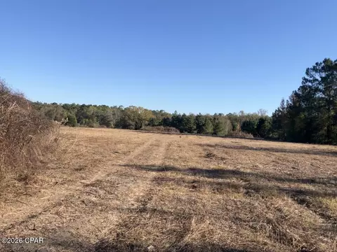 0 Fl-65, Hosford, FL 32334