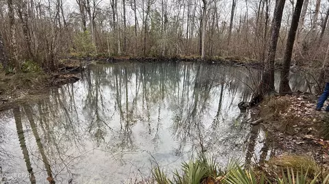 0 Otter Creek Bridge Rd, Ebro, FL 32437