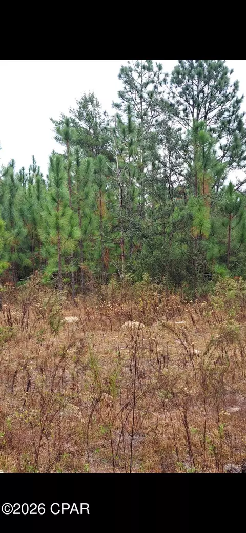 00 S River Rd, Vernon, FL 32462 photo 4