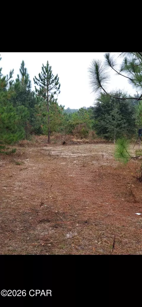 00 S River Rd, Vernon, FL 32462 photo 5