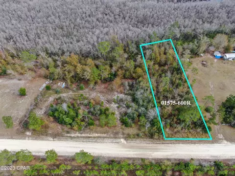 706 Dead Lakes Dr, Wewahitchka, FL 32465