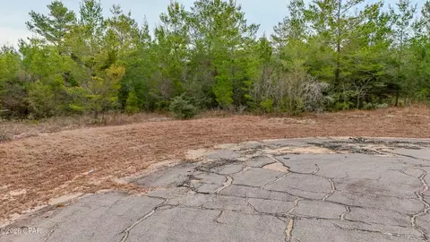 0000 Tassel Ct, Chipley, FL 32428 photo 5