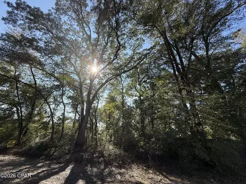 0001 Appalachee Trl, Marianna, FL 32446